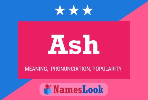 Pôster do nome Ash