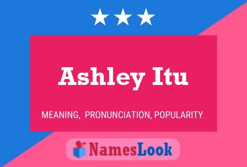 Pôster do nome Ashley Itu