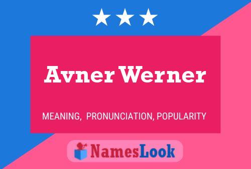 Pôster do nome Avner Werner