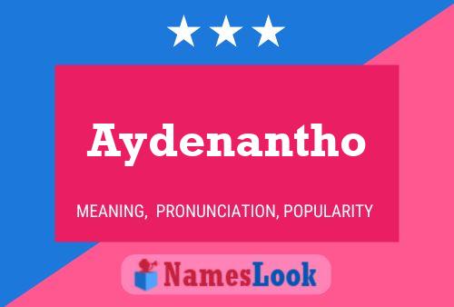 Pôster do nome Aydenantho