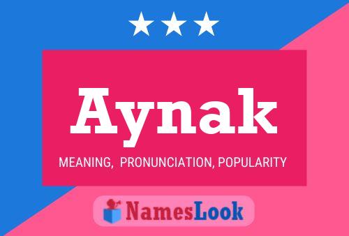 Pôster do nome Aynak