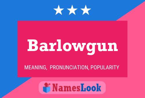 Pôster do nome Barlowgun