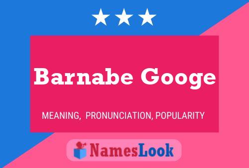 Pôster do nome Barnabe Googe