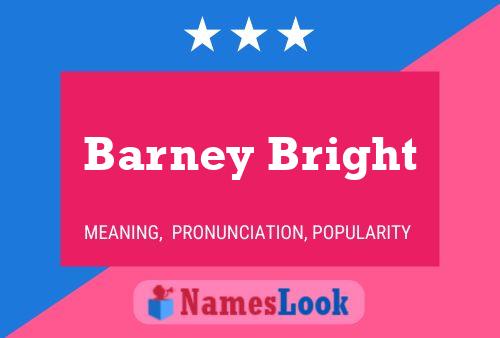 Pôster do nome Barney Bright