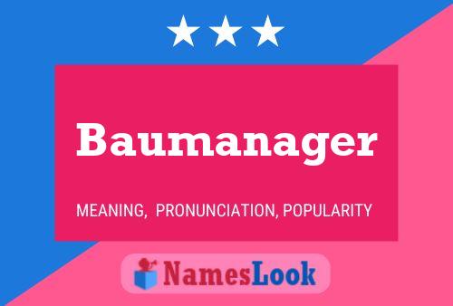 Pôster do nome Baumanager