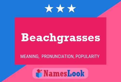 Pôster do nome Beachgrasses