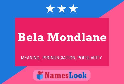 Pôster do nome Bela Mondlane