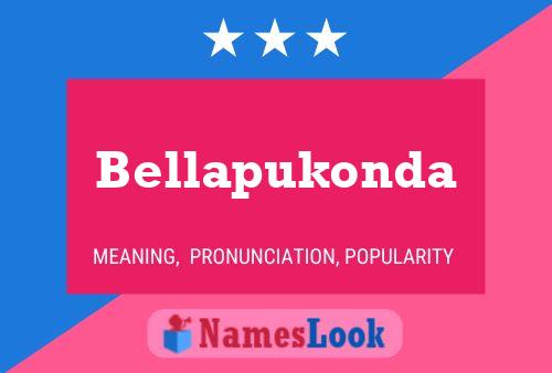 Pôster do nome Bellapukonda