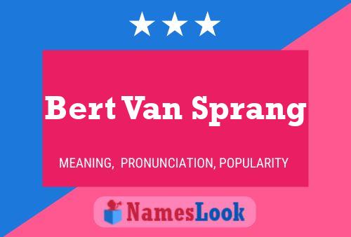 Pôster do nome Bert Van Sprang