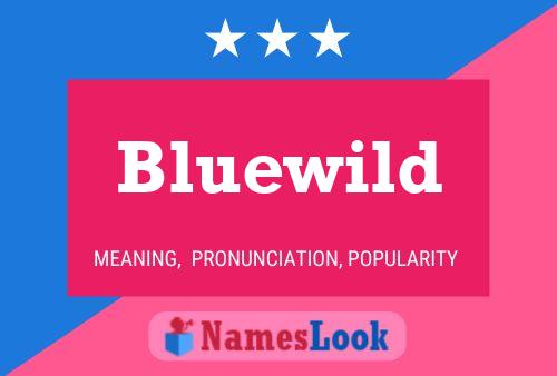 Pôster do nome Bluewild