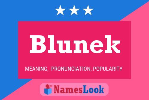 Pôster do nome Blunek