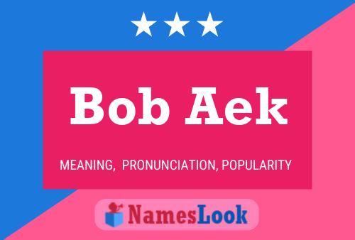 Pôster do nome Bob Aek