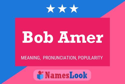 Pôster do nome Bob Amer