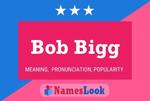 Pôster do nome Bob Bigg