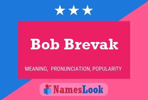 Pôster do nome Bob Brevak