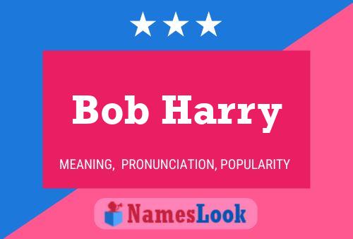 Pôster do nome Bob Harry