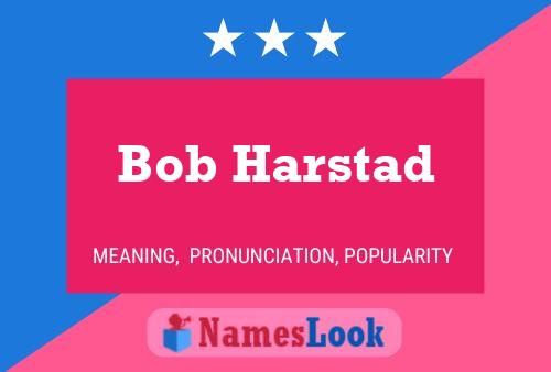 Pôster do nome Bob Harstad