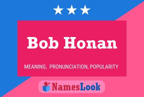 Pôster do nome Bob Honan