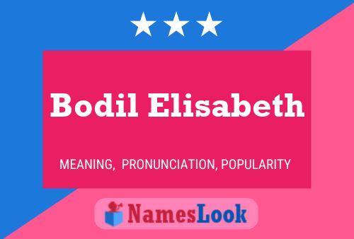 Pôster do nome Bodil Elisabeth