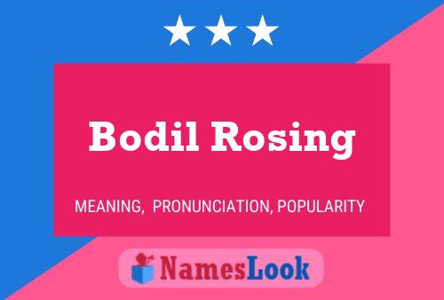 Pôster do nome Bodil Rosing