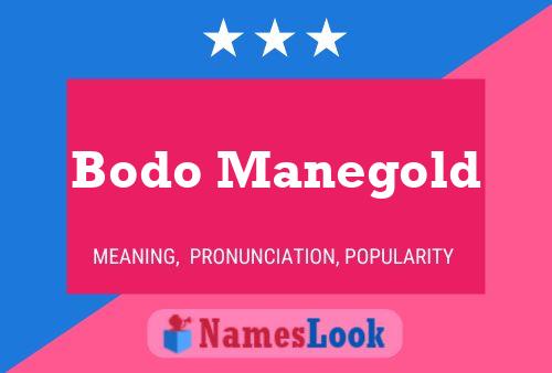 Pôster do nome Bodo Manegold