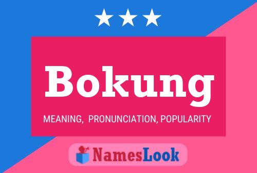 Pôster do nome Bokung