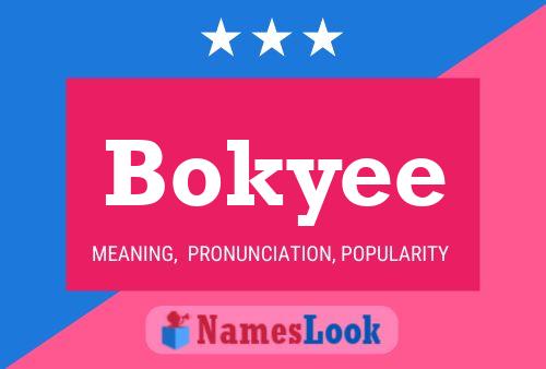 Pôster do nome Bokyee