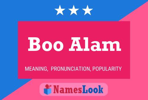 Pôster do nome Boo Alam