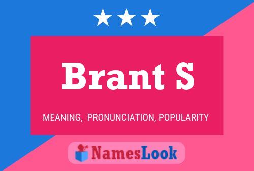 Pôster do nome Brant S