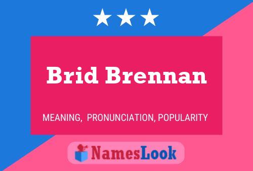 Pôster do nome Brid Brennan