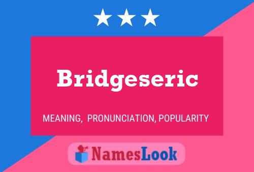 Pôster do nome Bridgeseric