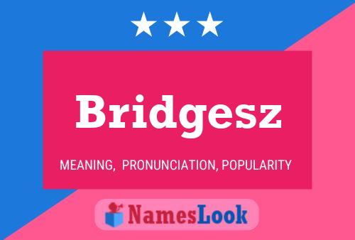 Pôster do nome Bridgesz