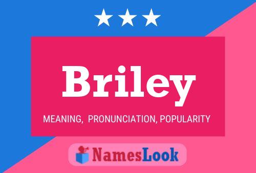 Pôster do nome Briley