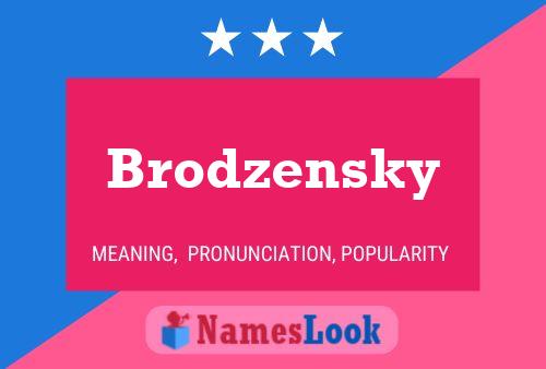 Pôster do nome Brodzensky