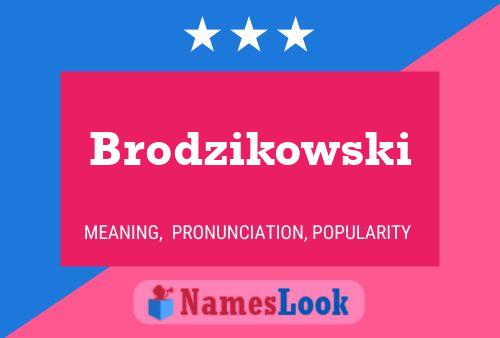 Pôster do nome Brodzikowski