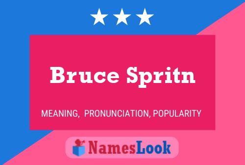 Pôster do nome Bruce Spritn