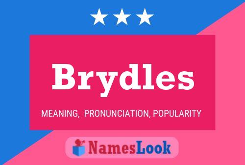 Pôster do nome Brydles