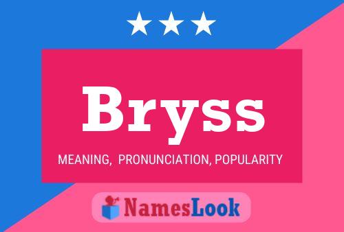 Pôster do nome Bryss