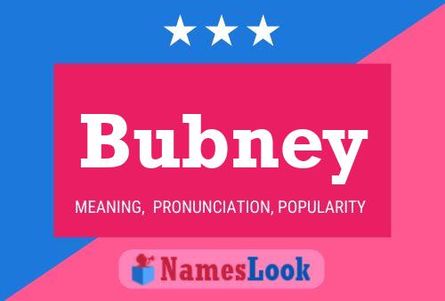 Pôster do nome Bubney