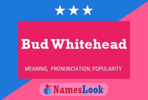 Pôster do nome Bud Whitehead