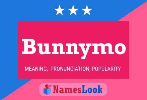 Pôster do nome Bunnymo