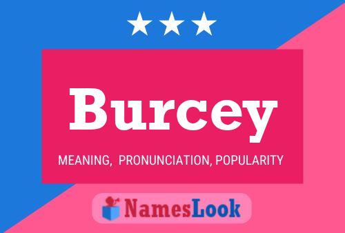 Pôster do nome Burcey