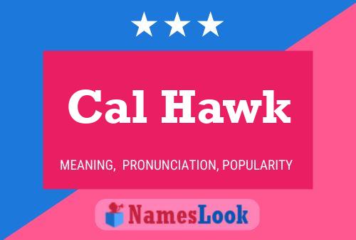 Pôster do nome Cal Hawk