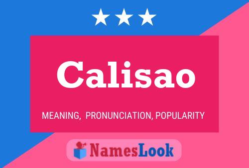 Pôster do nome Calisao