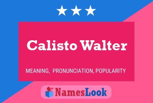 Pôster do nome Calisto Walter