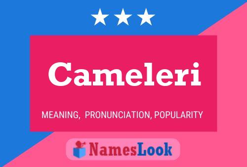 Pôster do nome Cameleri