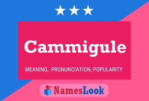 Pôster do nome Cammigule