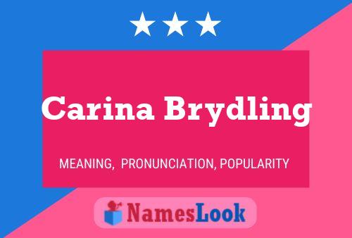 Pôster do nome Carina Brydling