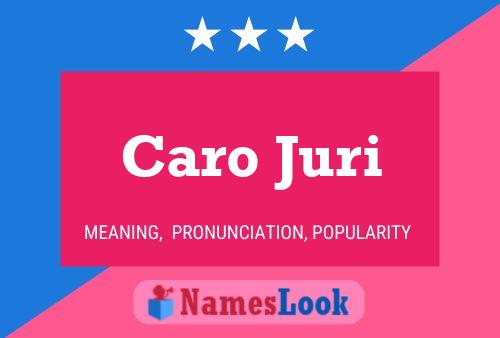 Pôster do nome Caro Juri