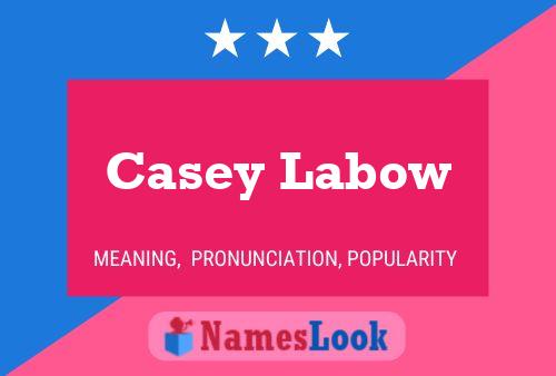 Pôster do nome Casey Labow